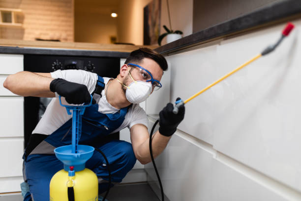 Best Cockroach Control Services  in East Basin, UT