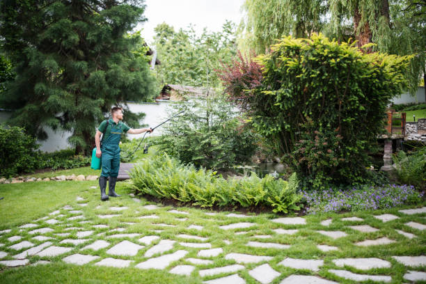 Best Affordable Pest Control Services  in East Basin, UT