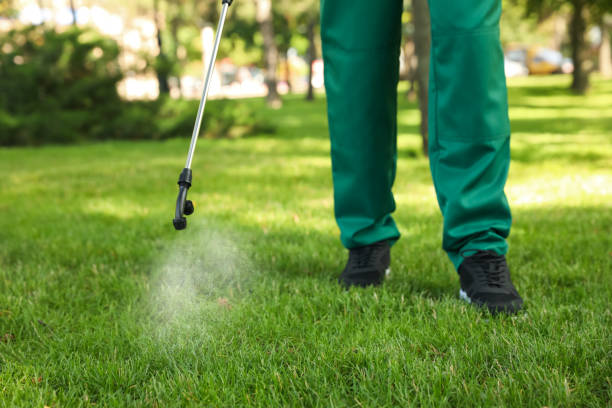 Best Flea Control Services  in East Basin, UT