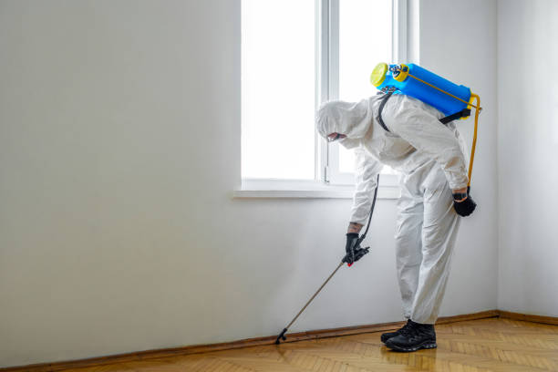 Best Termite Control Services  in East Basin, UT
