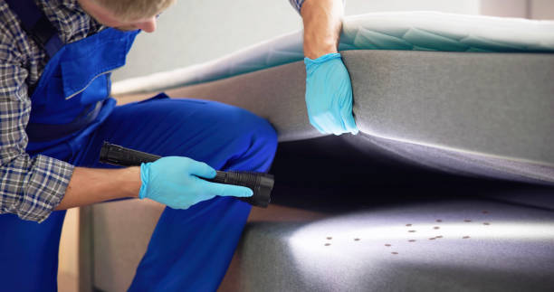 Best Pest Control Near Me  in East Basin, UT