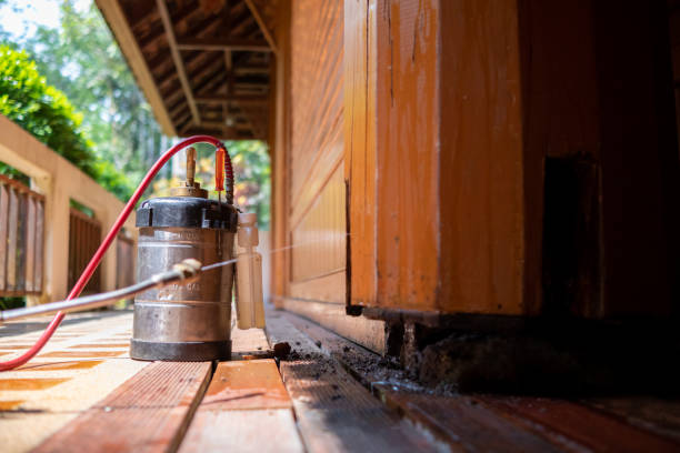Best Best Pest Control Companies  in East Basin, UT