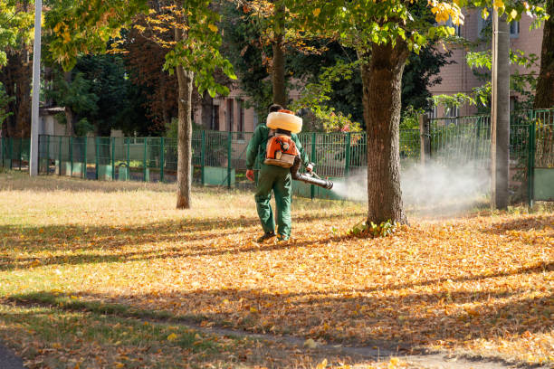 Best Wasp Removal Services  in East Basin, UT