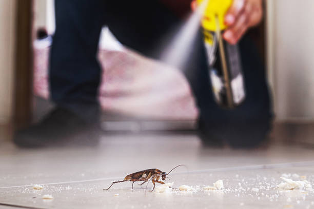 Best Commercial Pest Control Services  in East Basin, UT