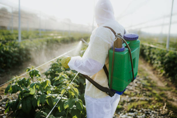 East Basin, UT Pest Control Company